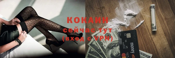 apvp Богданович
